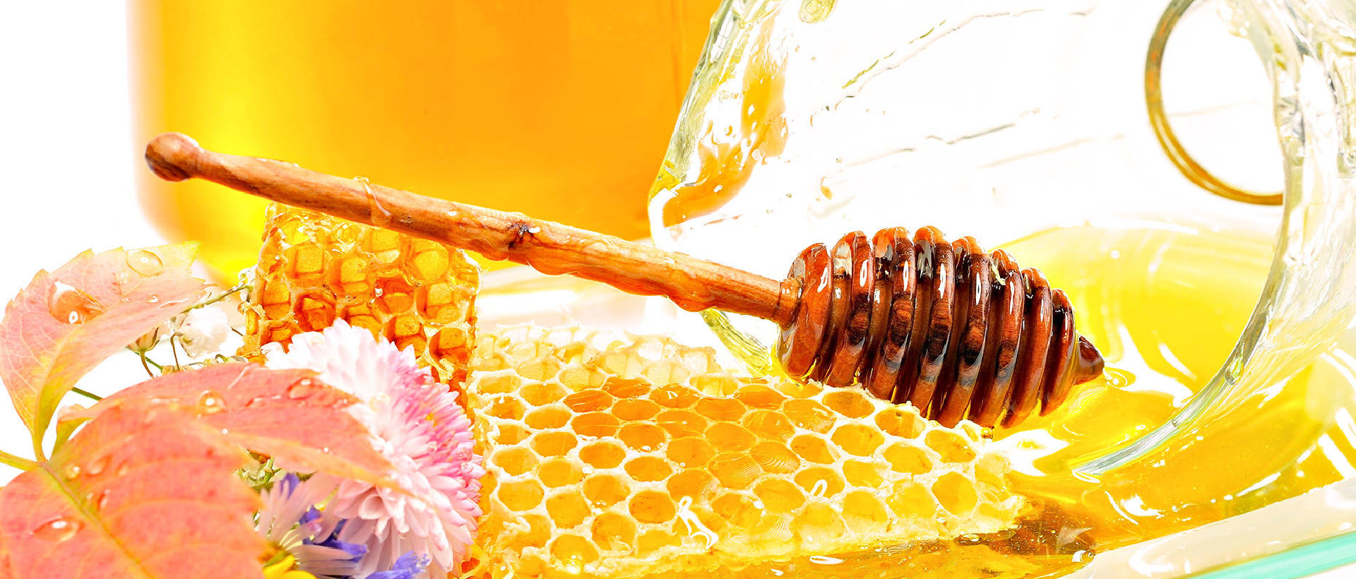 DOMACI MED PODGORICA CRNA GORA | Pčelarstvo med Maraš
